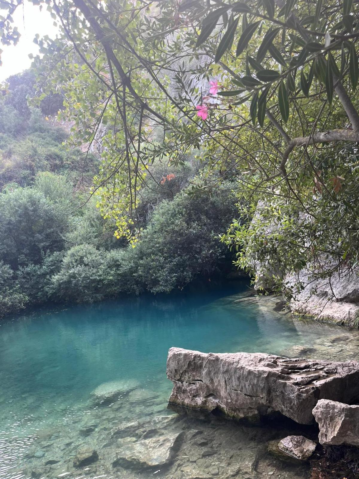 Casa El Cerro Villa Cortes de la Frontera Ngoại thất bức ảnh